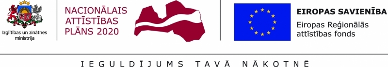ES un NAP logo ERAF
