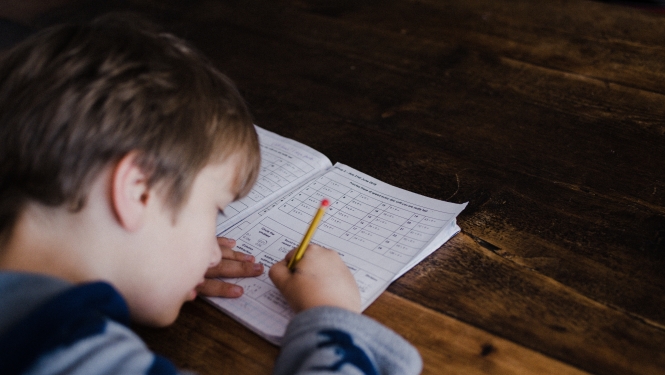 Izsludina konkursu Eiropas skolas programmas izveidei
