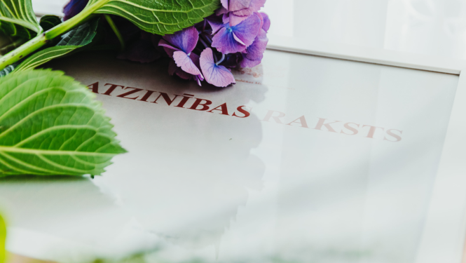 IZM Ministru kabineta Atzinības raksts ar ziediem