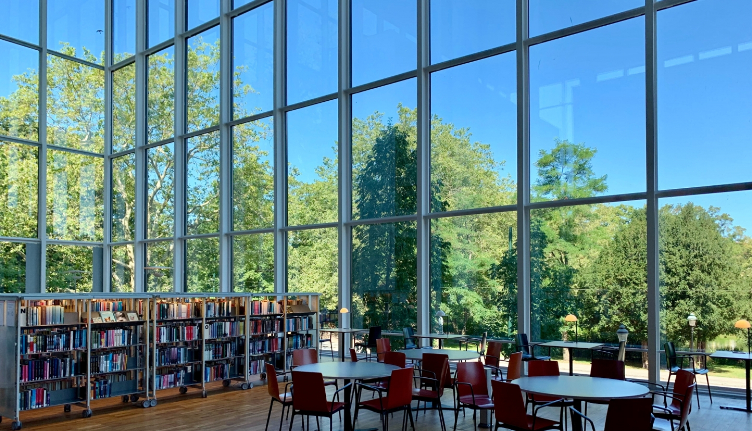 bibliotēka