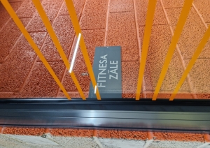 Vieglatlētikas manēža