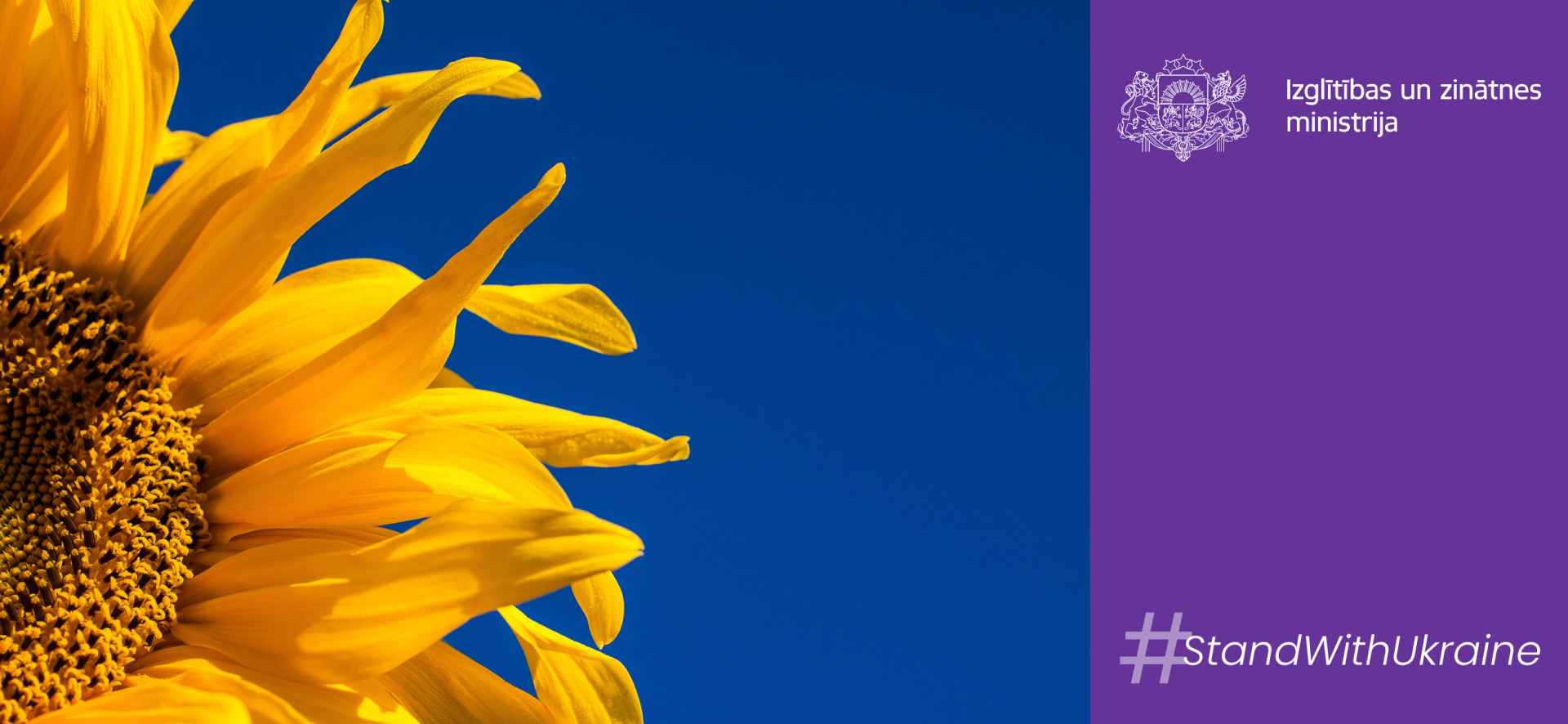 Saulespuķe un #StandWithUkraine ar IZM logo