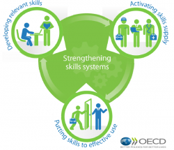 oecdskillssystems