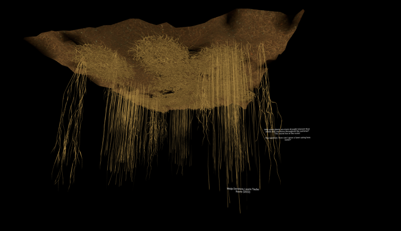 Maija Demitere/Lauris Taube. Roots (2022)