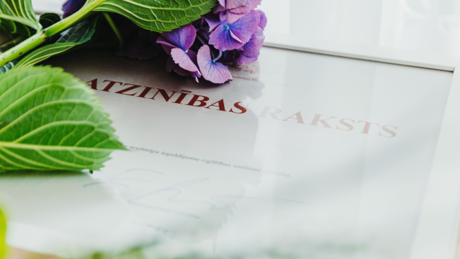 Ministru Kabineta atzinības raksts, pa virsu stāv hortenzija.