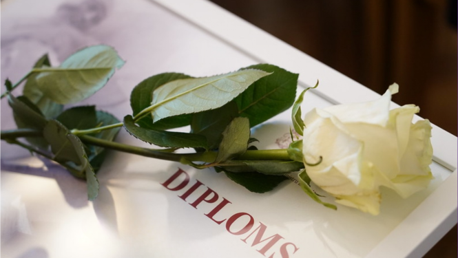 IZM diploms, pa virsu stāv balta roze