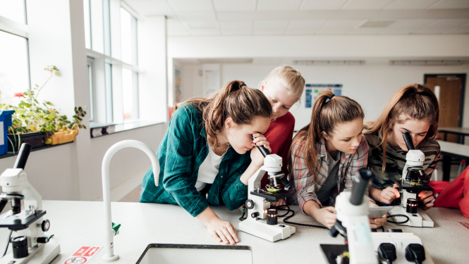 Četras meitenes skatās mikroskopos mācību stundā