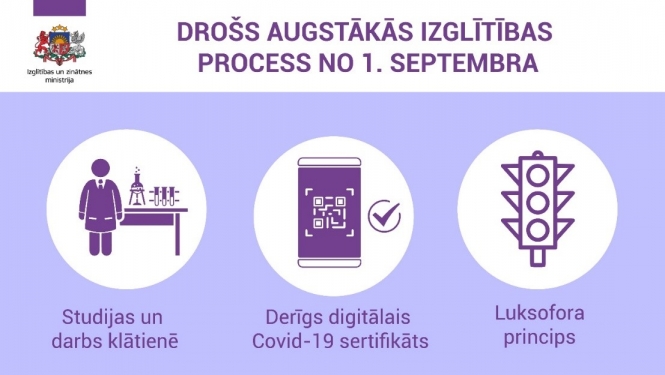 Infografika