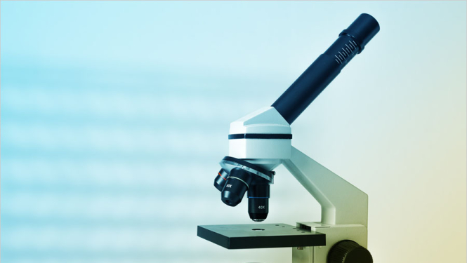 Jauno zinātnieku pēcdoktorantūras pētniecībā un karjeras izaugsmē ieguldīs 64 miljonus eiro