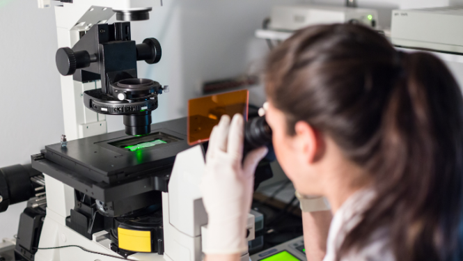 Baltijas pētniecības programmaa