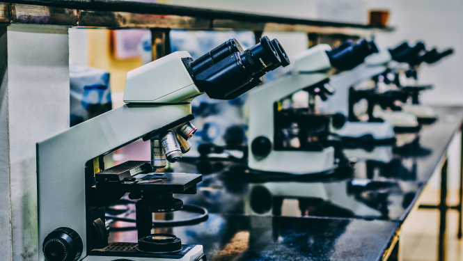 Papildu ES fondu ieguldījumi zinātnē un studiju programmās veicinās ekonomikas digitālo transformāciju