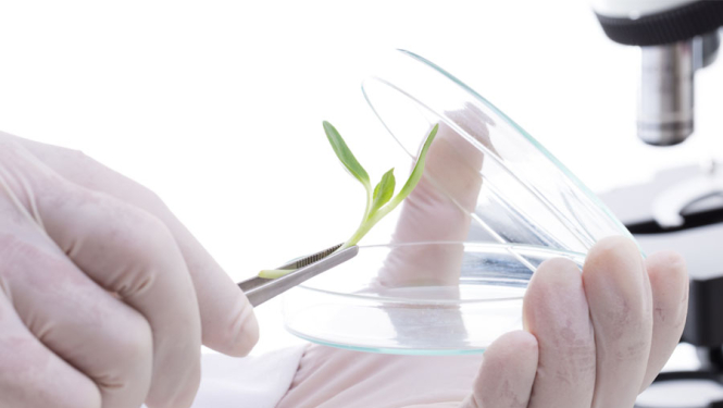 Praktiskas ievirzes pētījumos ieguldīs 76,5 miljonus eiro