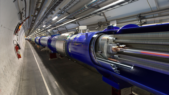 3D cut of the LHC dipole