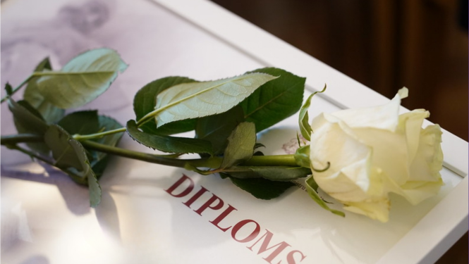 IZM diploms, pa virsu stāv balta roze