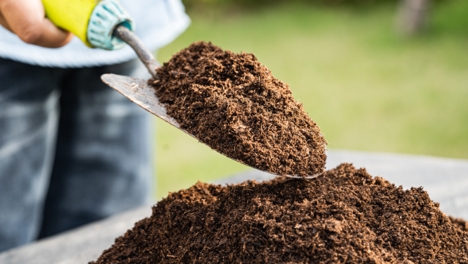 Uz neliela izmēra lāpstiņas uzbērta kūdra