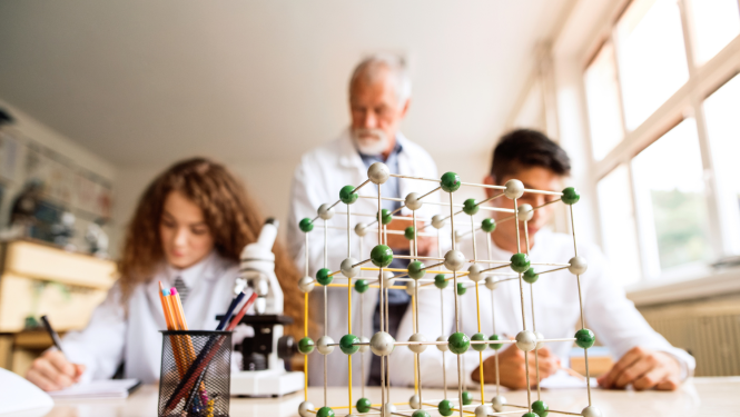 Skolā bioloģijas stunda