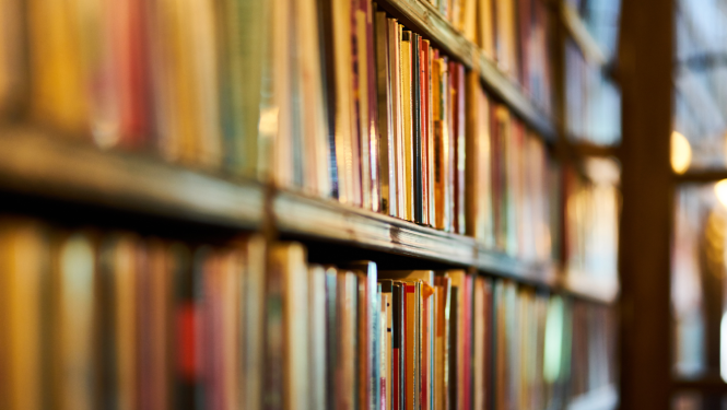 Vairāki plaukti ar grāmatām