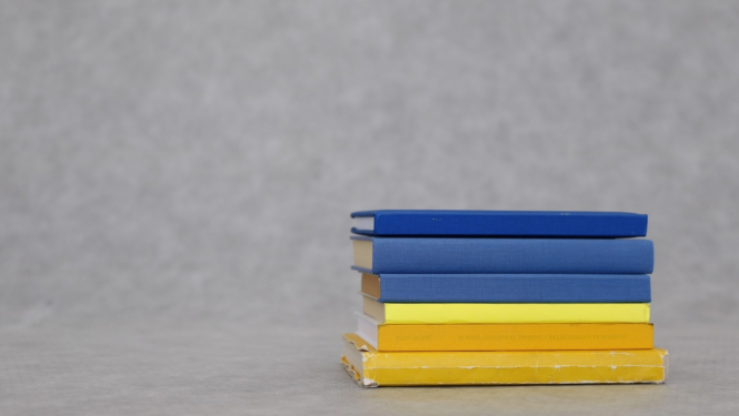 Ukrainas stipendijas