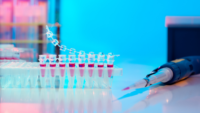 Molekulārā bioloģija