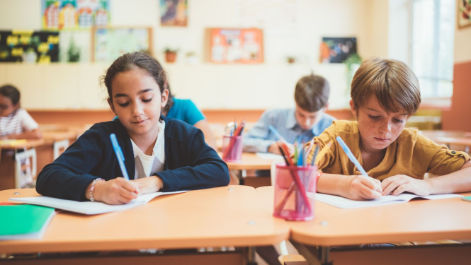 Mācību olimpiāžu organizēšana