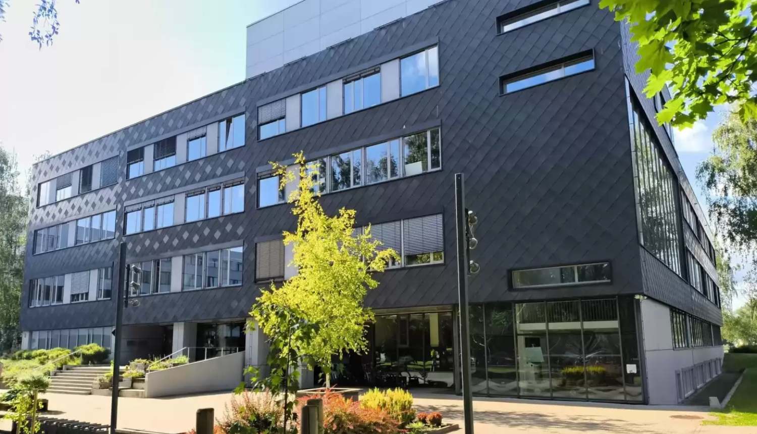 Rīgas Biznesa skola (RBS)