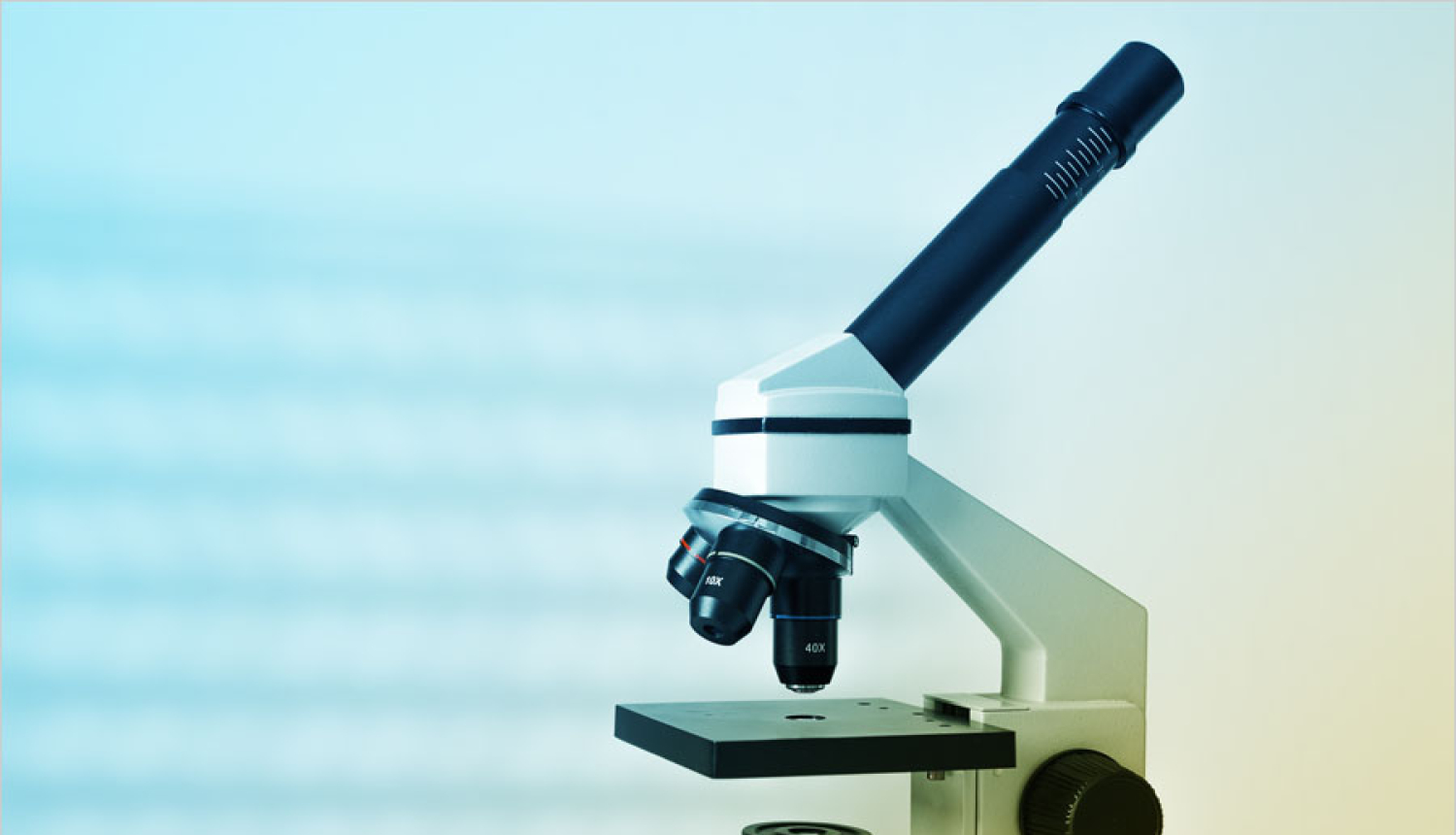 Jauno zinātnieku pēcdoktorantūras pētniecībā un karjeras izaugsmē ieguldīs 64 miljonus eiro