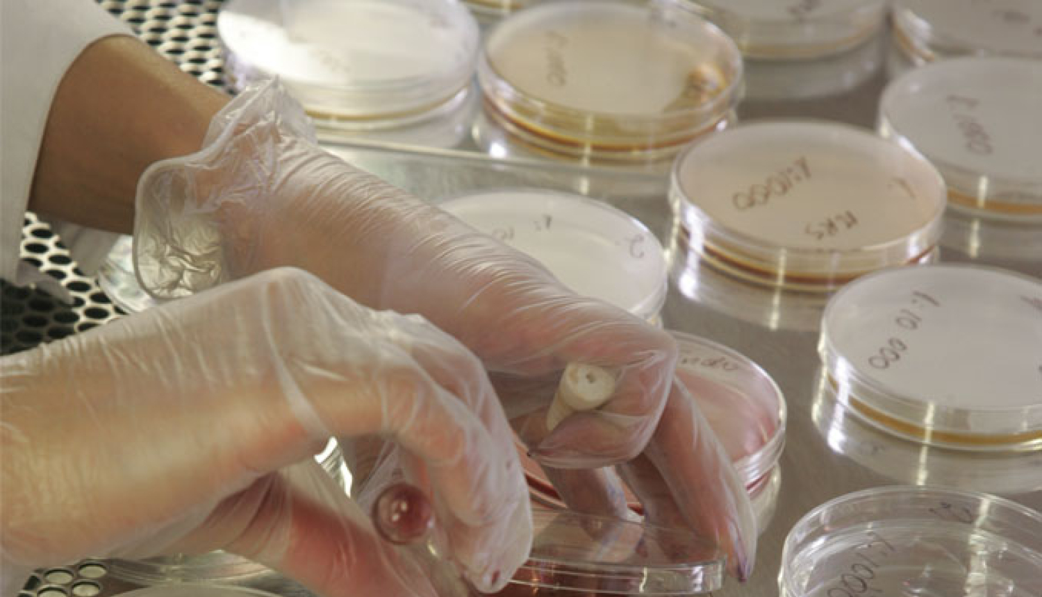 Stājušies spēkā Ministru kabineta noteikumi par starptautiskās sadarbības projektu pētniecībā un inovācijās finansēšanas nosacījumiem