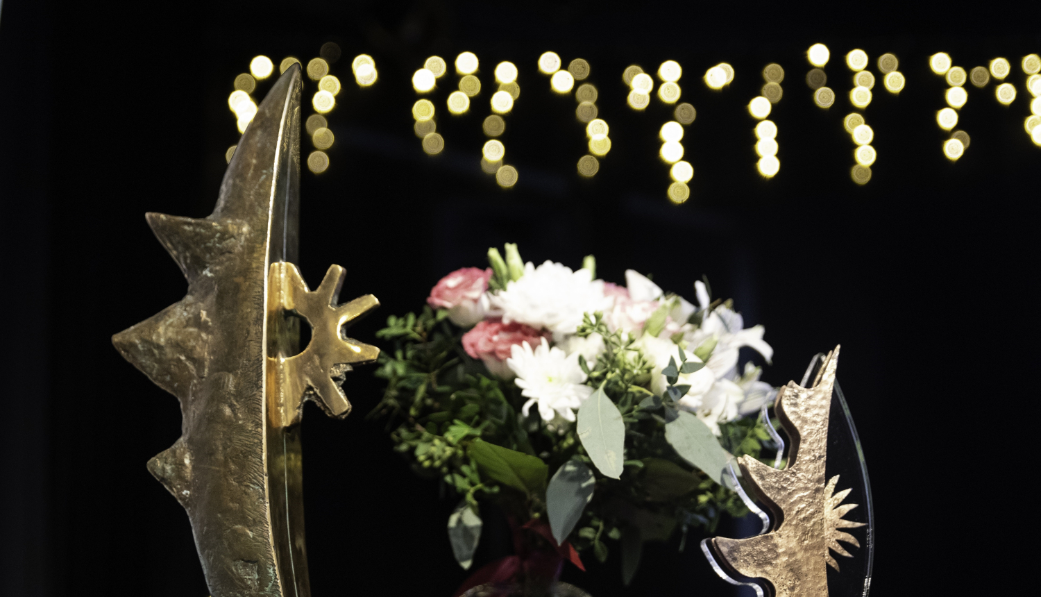 14.septembrī sākas pieteikšanās pieaugušo neformālās izglītības balvai “Saules laiva”