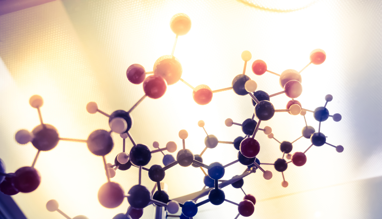 CFLA rīko semināru ciklu 1.1.1.1. pasākuma “Praktiskās ievirzes pētījumi” projektu īstenotājiem