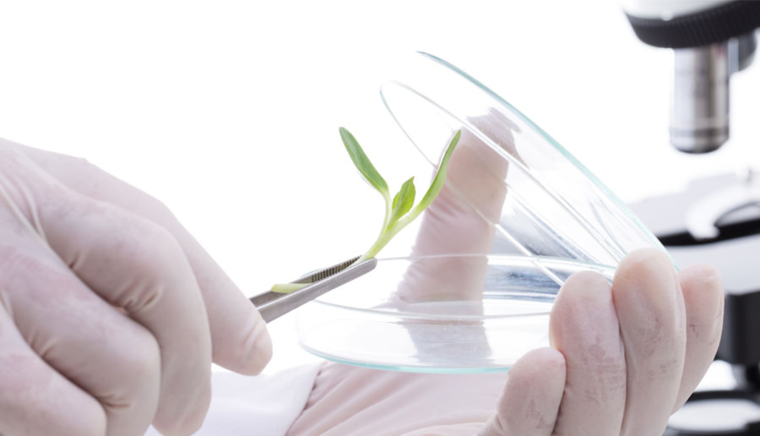 Praktiskas ievirzes pētījumos ieguldīs 76,5 miljonus eiro