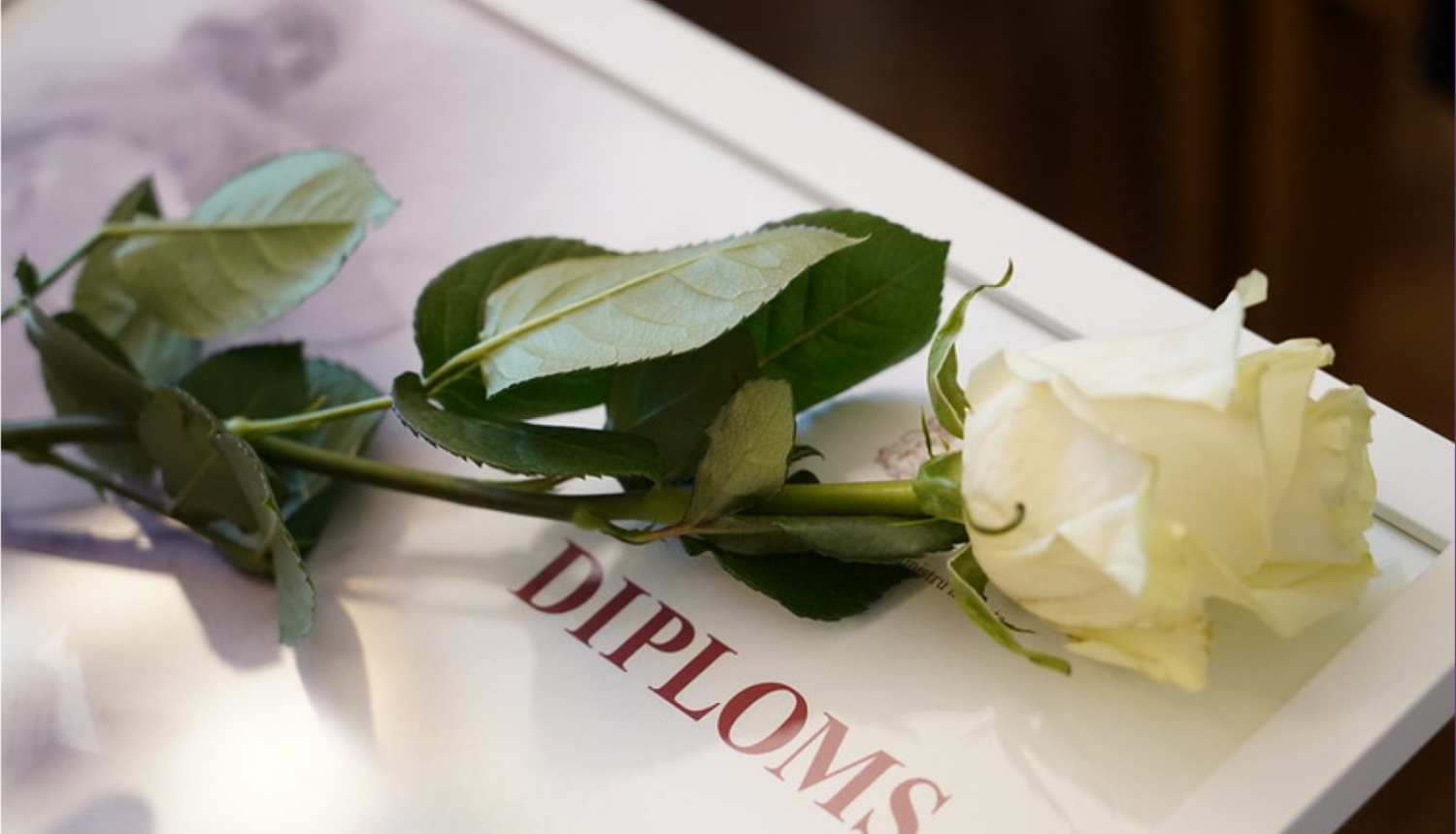 IZM diploms, pa virsu stāv balta roze