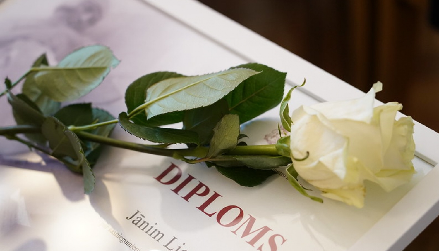 IZM diploms un balta roze