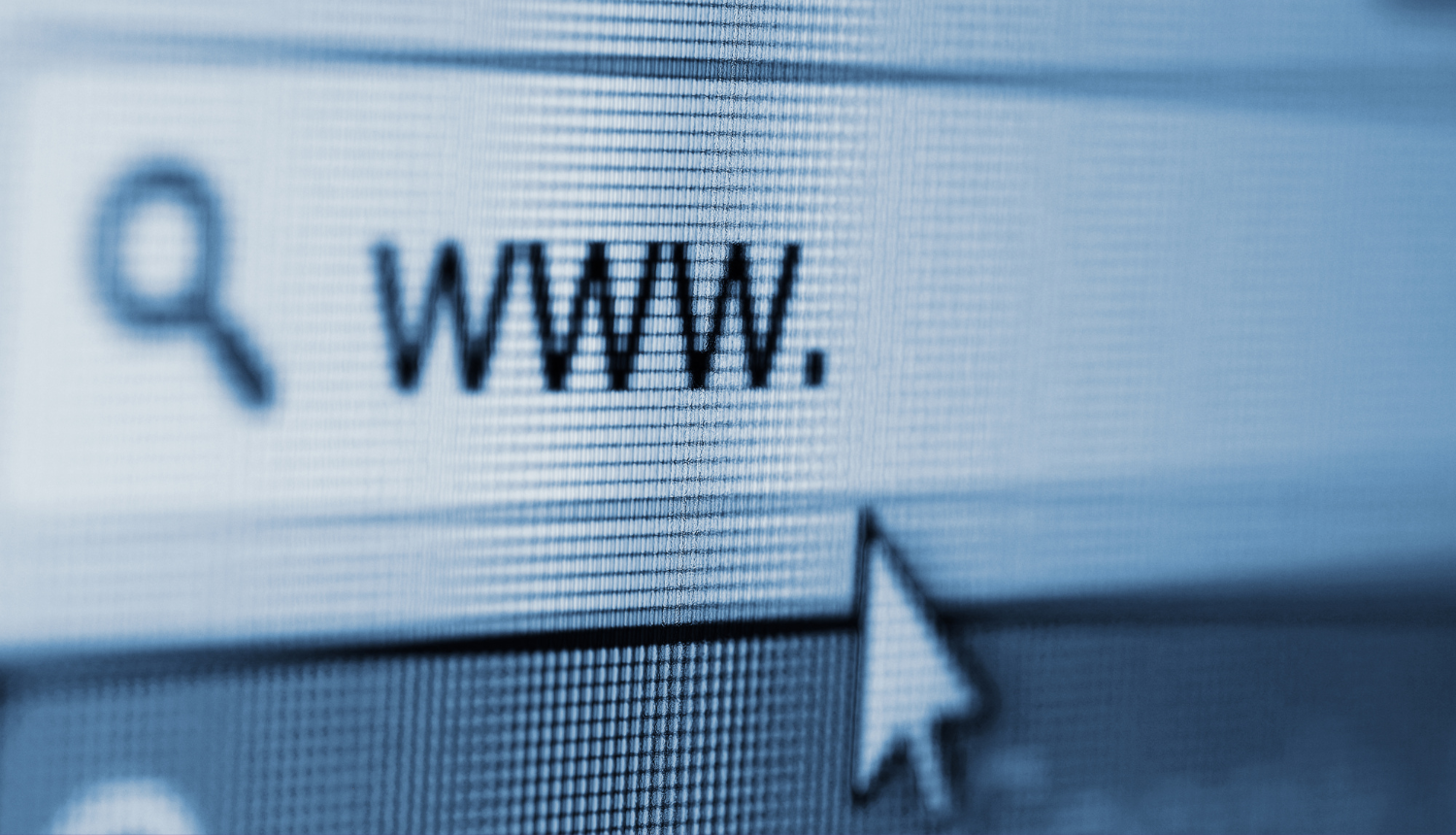 Tīmekļa meklēšanas lauciņš, kurā ierakstīts "www."